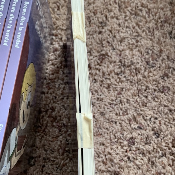 Brandon Brown dice la verdad TPRS Spanish books 📚 - Picture 3 of 8